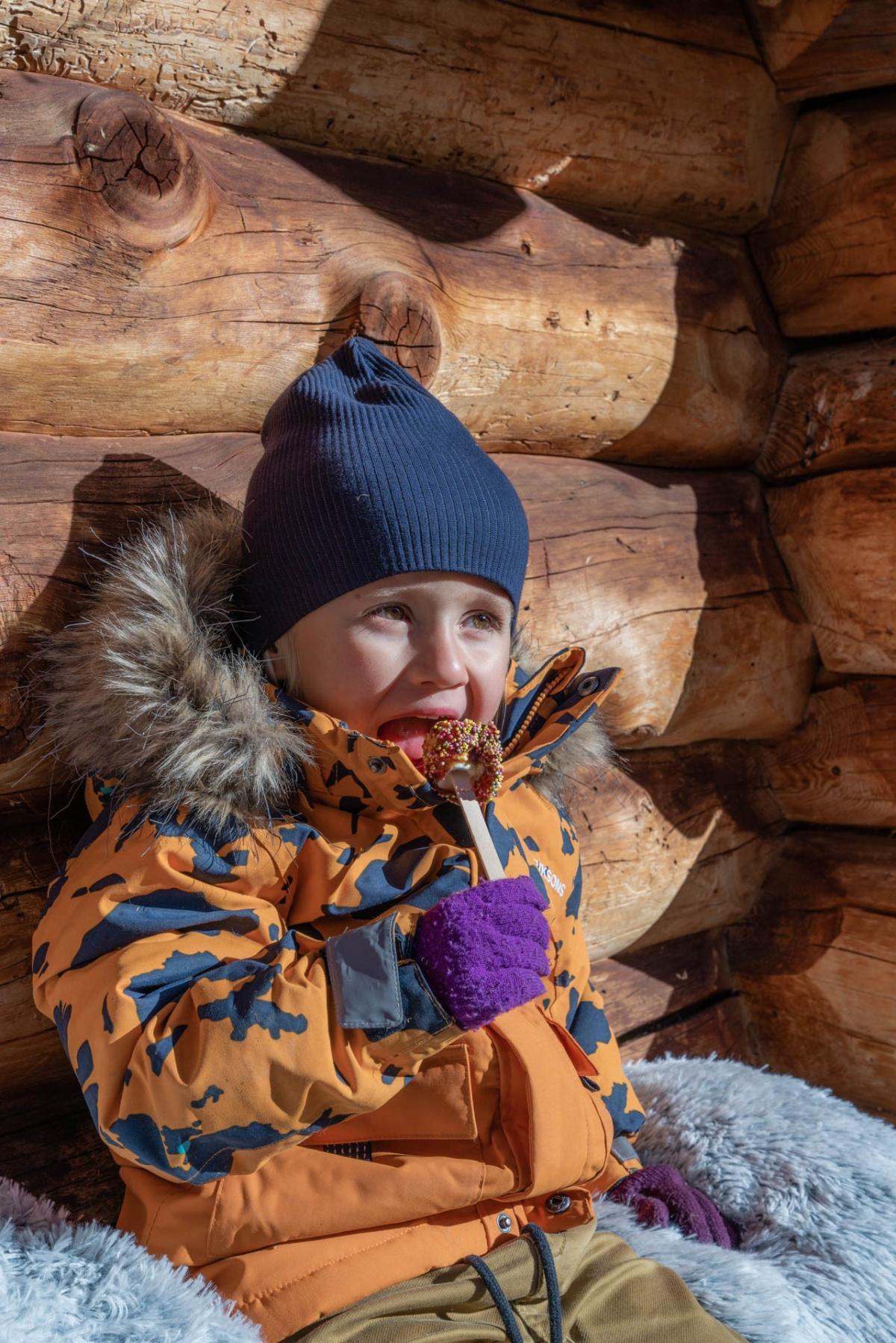 cabane-a-sucre