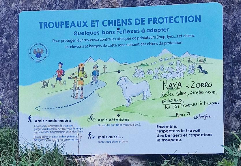 RANDONNEE-ALPE-DU-LAUZET-panneau-chiens-de-troupeau