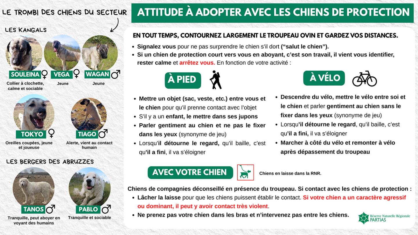 INFOS PATOUS - NOTRE DAME DES NEIGES - PROREL-1