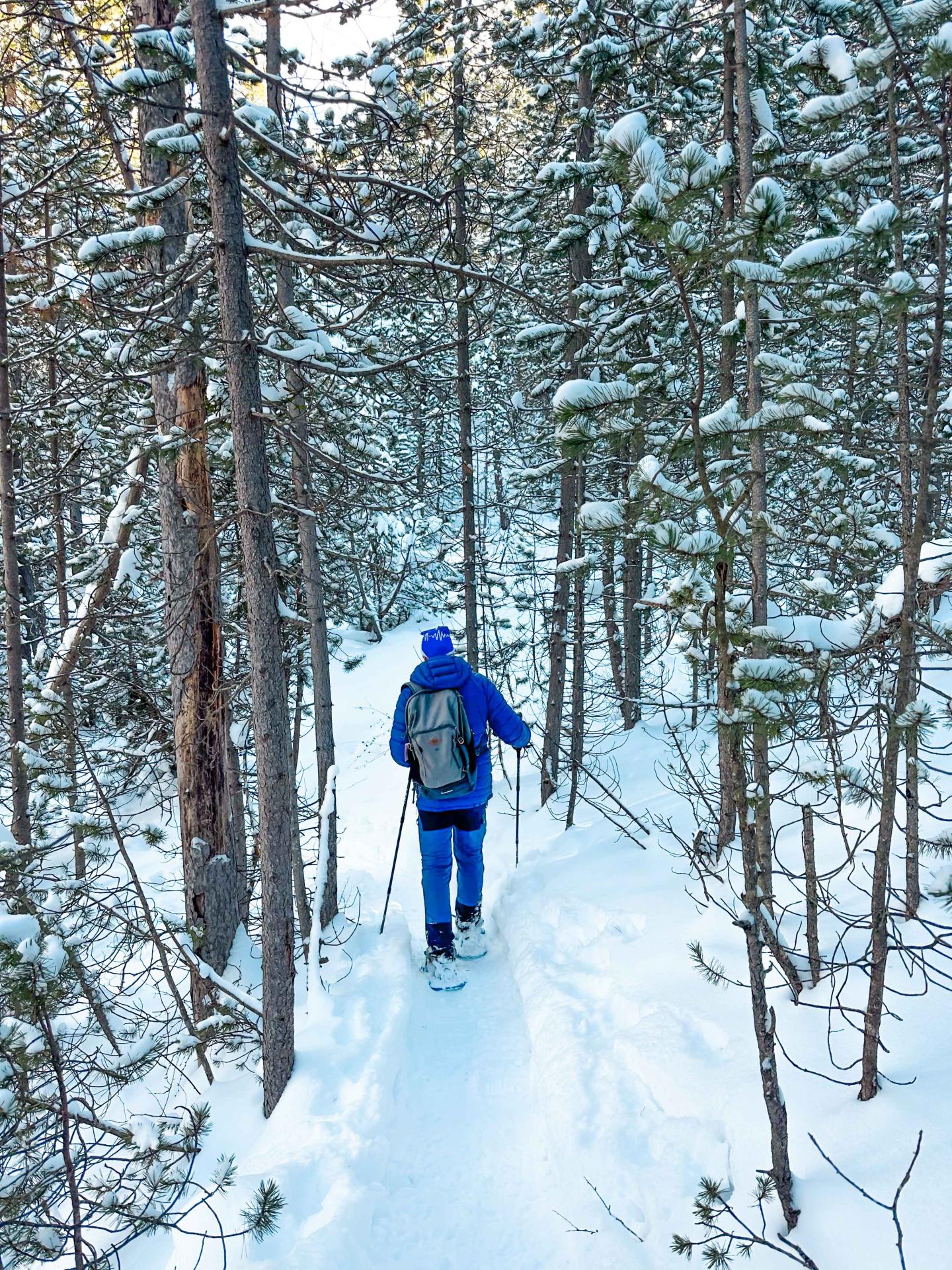 Adn Serre Che sortie raquettes et patrimoine
