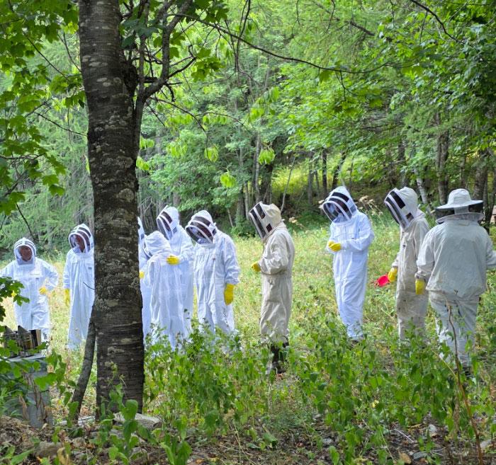Projet du miel et des abeilles Serre Chevalier