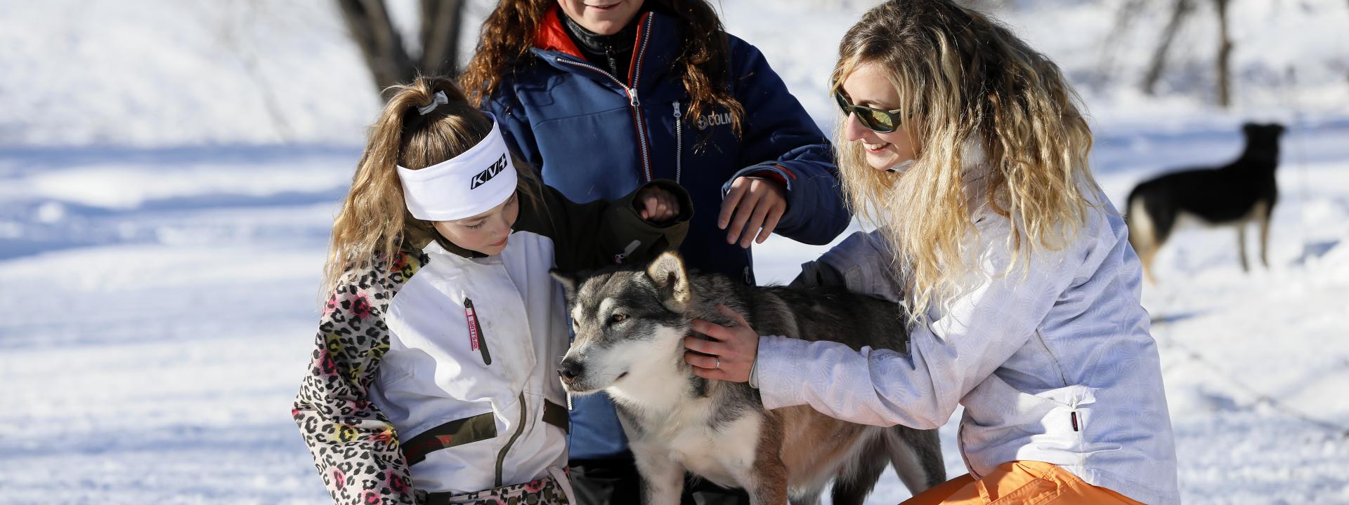 Chien de traineux et enfants Serre Chevalier