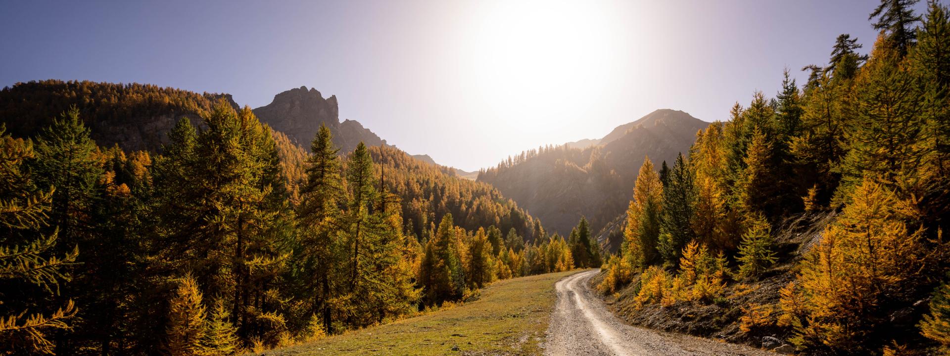 automne-chemin