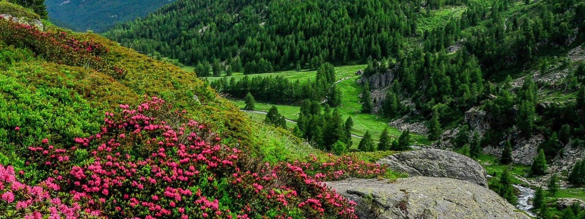 haute_vallee_claree
