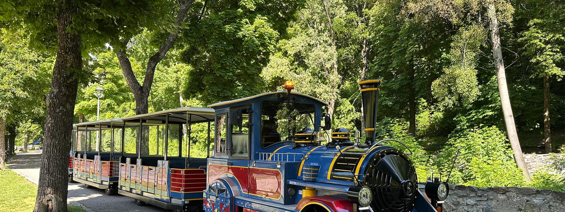 petit-train-briancon
