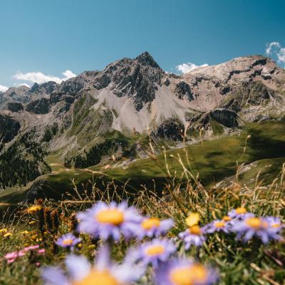 Paysage Montagne 