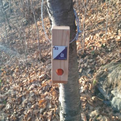 balises-course-orientation