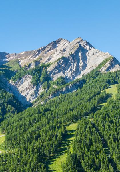 PAYSAGE DOMAINE ALTITUDE