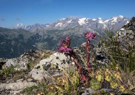 tourisme et handicap