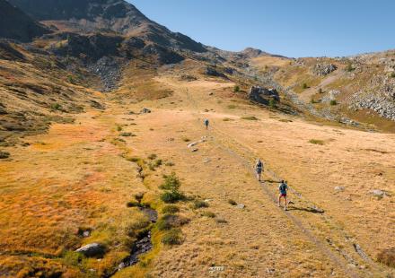 Trail