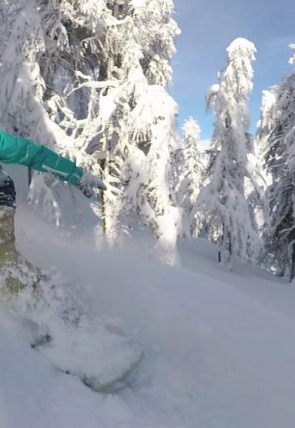 Ski Premium - Apprentissage ski / snowboard (5364943)