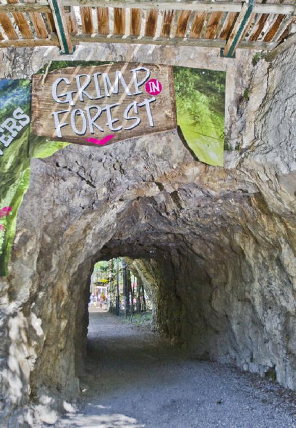 Grimp'in Forest