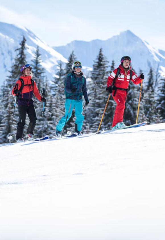 Image - Ski de randonnée (6423474)