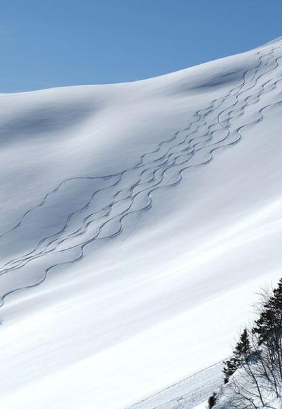 Hors Piste - Hors piste / Ski de randonnée (705812)
