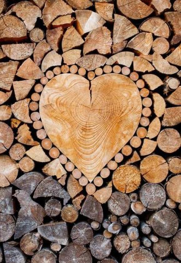 Fête du bois_Le Monêtier-les-Bains