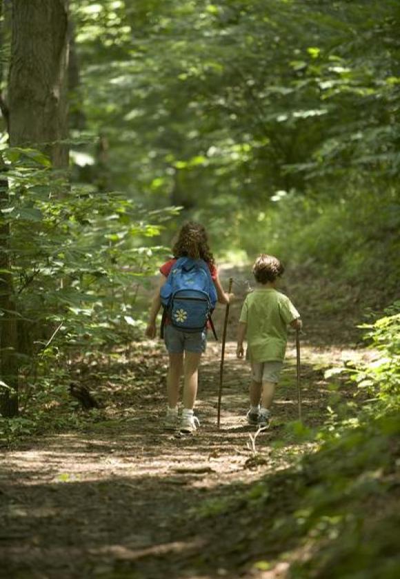 Escape game nature_La Salle-les-Alpes