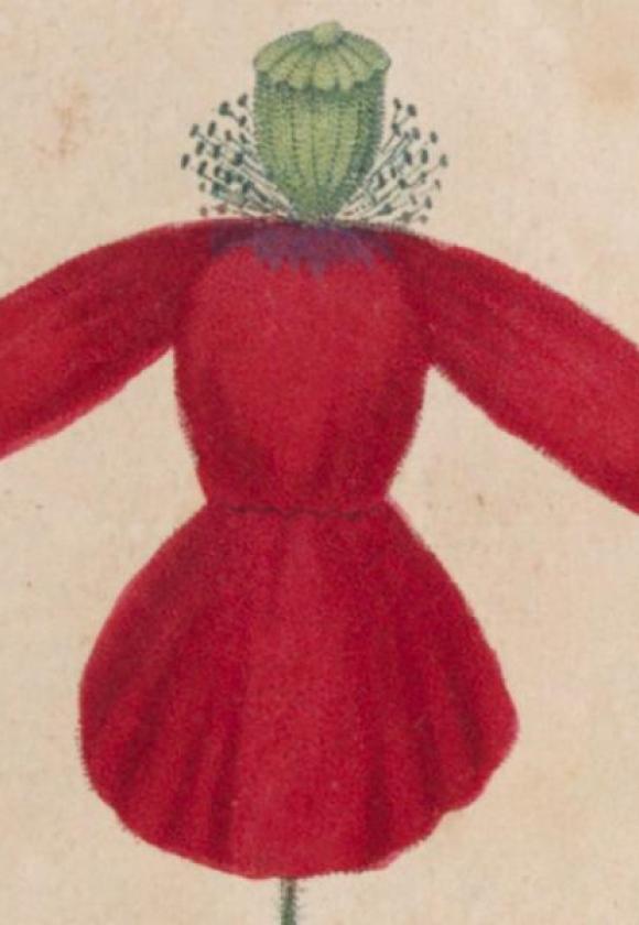 Ce que nous raconte le nom des plantes_Le Monêtier-les-Bains