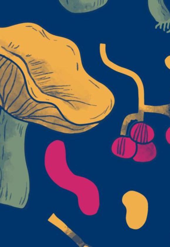 Conférence : Champignons, usages, culture et territoire_Le Monêtier-les-Bains