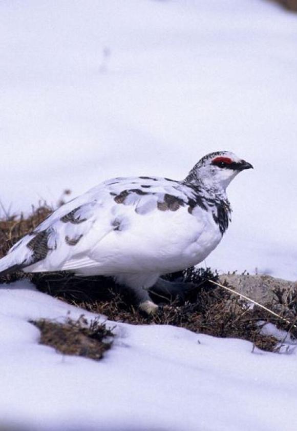 Les ateliers de Sophie_Le Monêtier-les-Bains