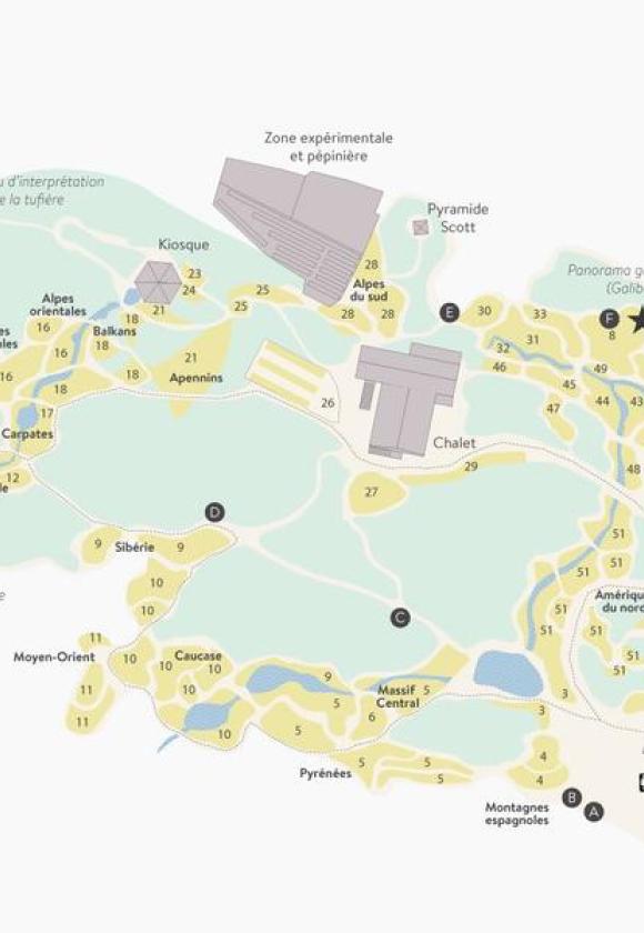 Visites guidées du jardin du Lautaret_Le Monêtier-les-Bains