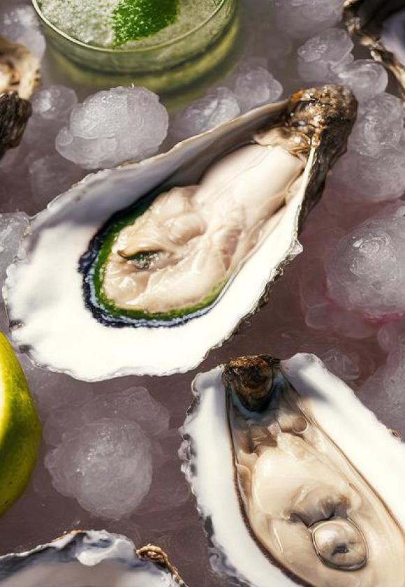 Dégustation d'huîtres au Café Resto Biocoop Chez Puy_Saint-Chaffrey