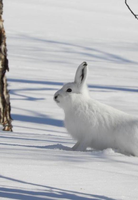 Rencontre avec un garde-moniteur_Le Monêtier-les-Bains