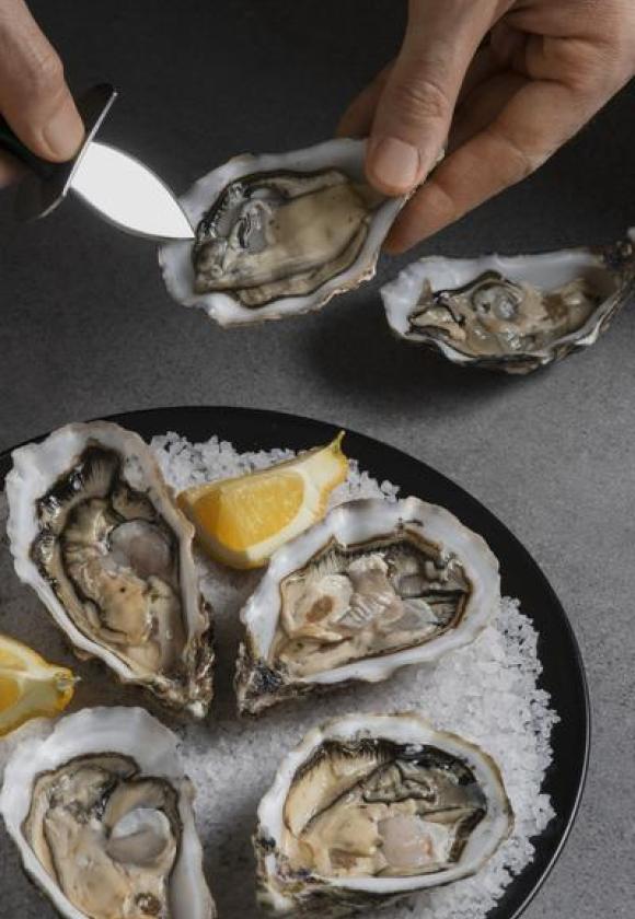 Apéro huîtres à la Résidence Domitys_Briançon