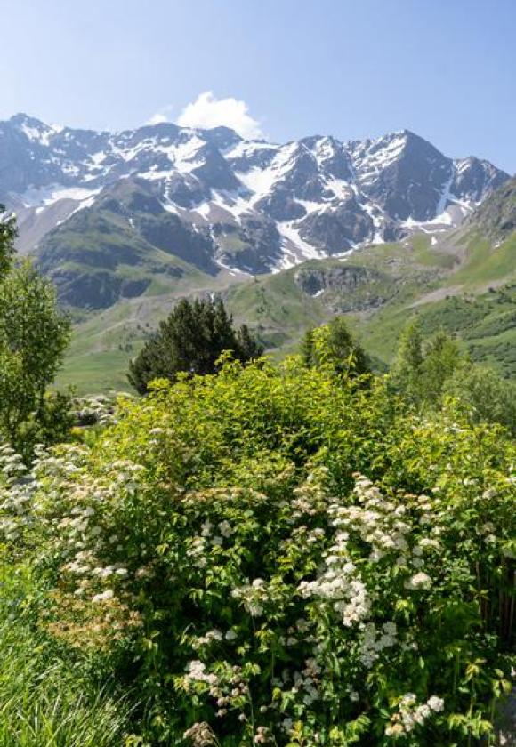 Col du Lautaret