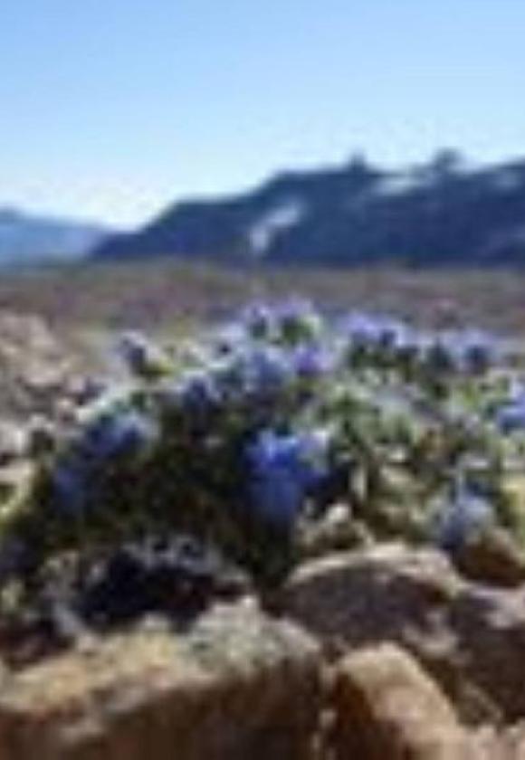 pour film Sur les îles du ciel