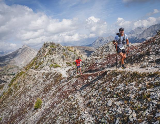 Trail