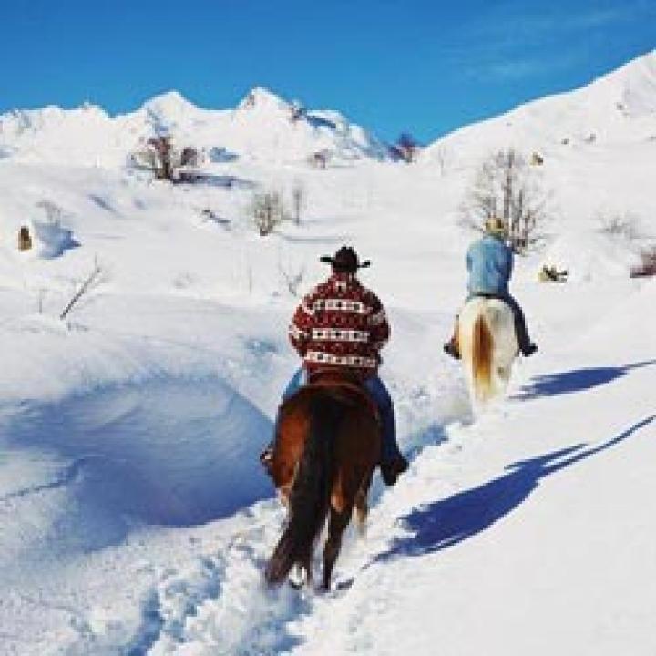 Animaux dans la neige