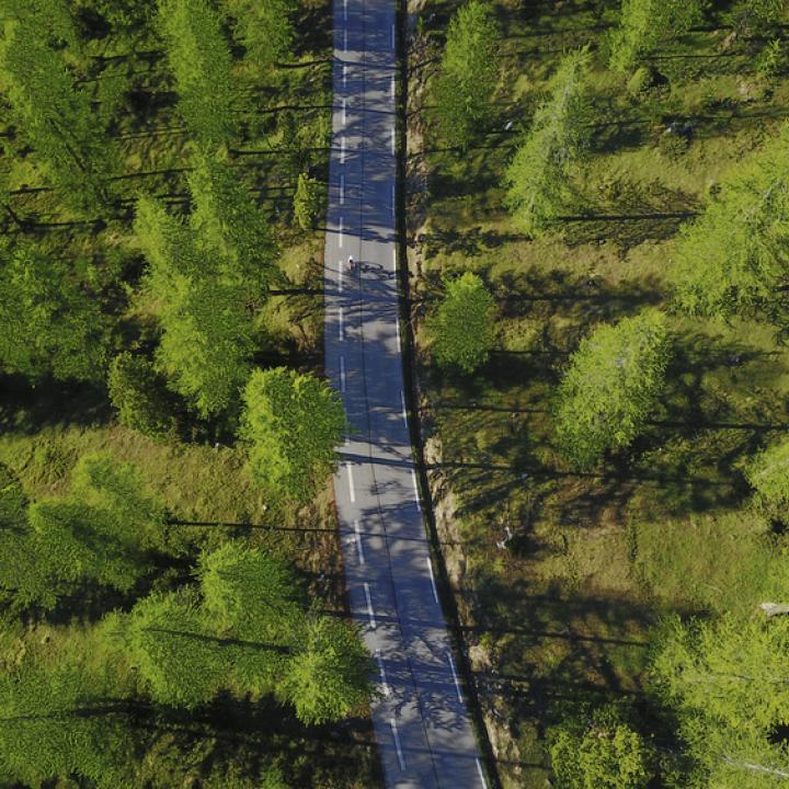 cyclo-nature
