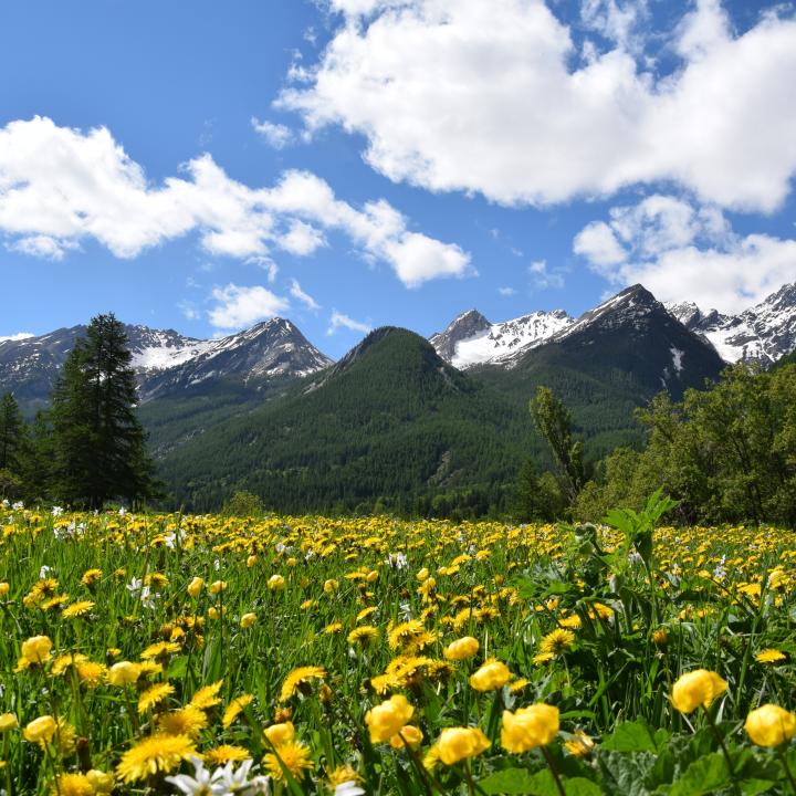 vue-montagne
