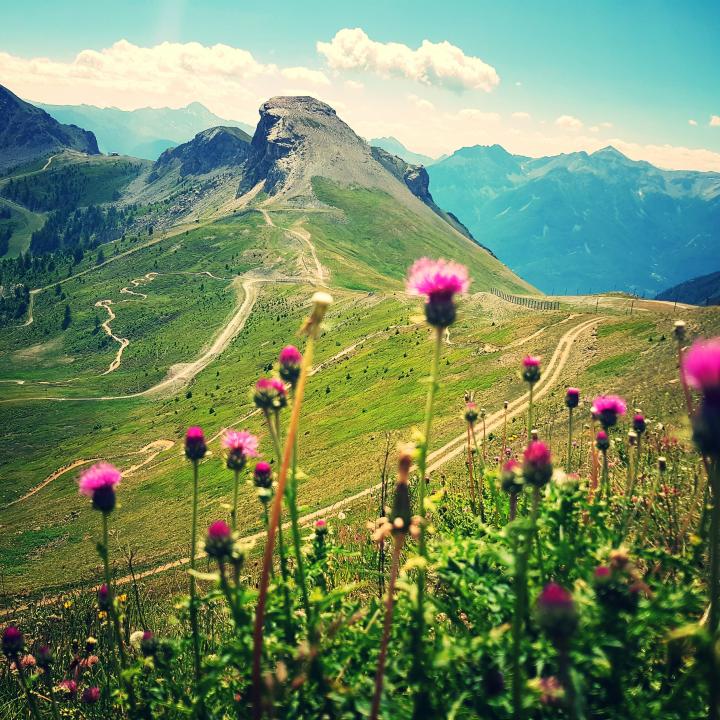 Domaine d'altitude été Serre Chevalier