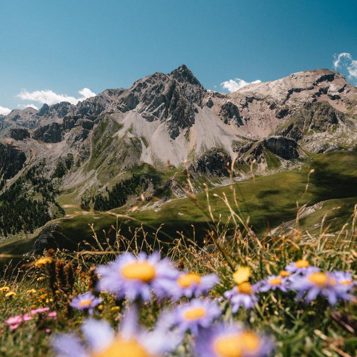 Paysage Montagne 