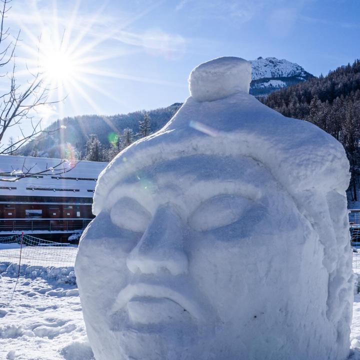 SCULPTURE DE GLACE - SERRE CHEV2ALIER BRIANCON - 