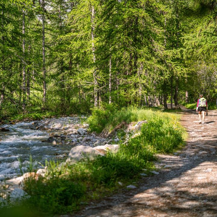 RANDONNEE LAC DE LA DOUCHE - SERRE CHEVALIER BRIANCON - 19