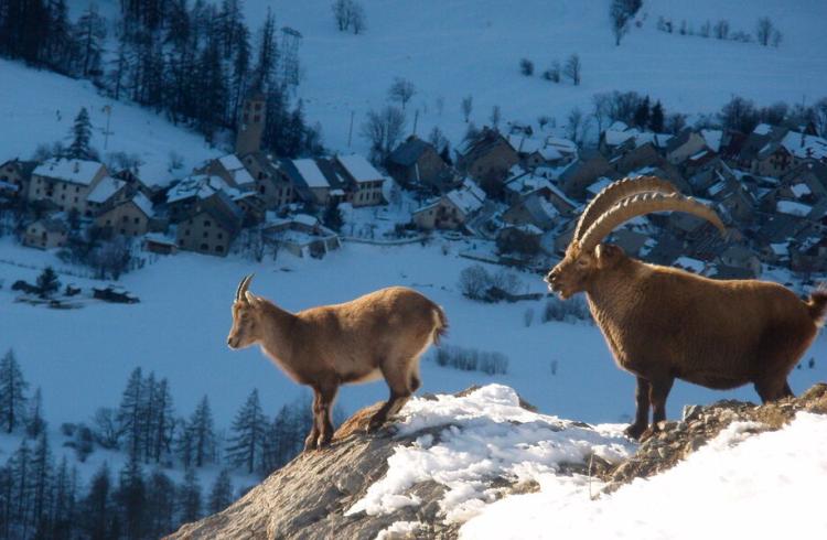Bureau des Guides et Accompagnateurs de Serre Chevalier