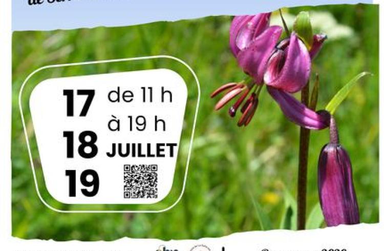 Les journées botaniques de Serre Chevalier Nature_La Salle-les-Alpes