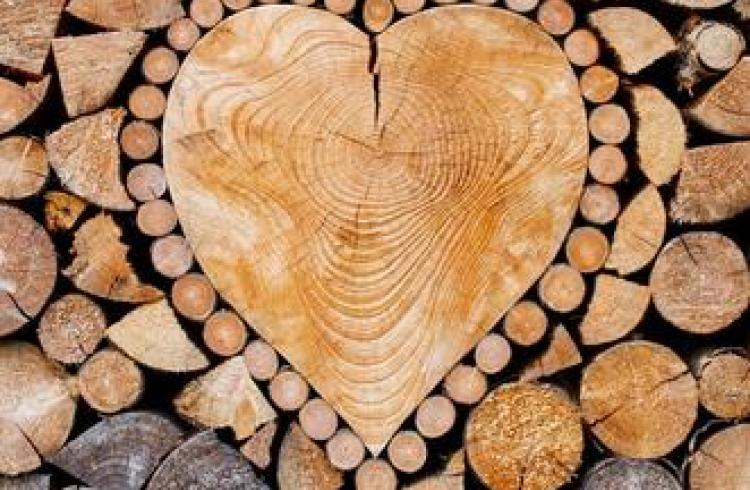 Fête du bois_Le Monêtier-les-Bains