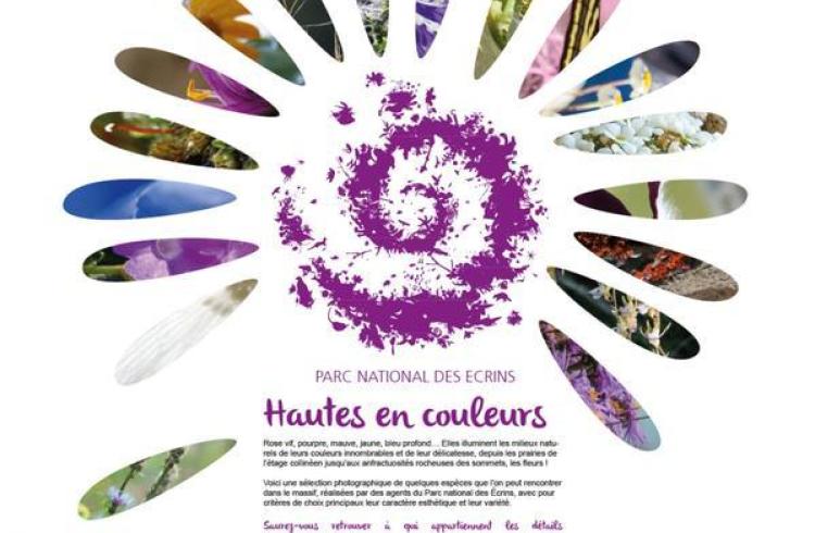 Exposition " Hautes en couleurs"_Briançon