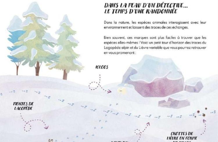 espèces blanches1