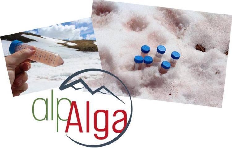 Atelier scientifique : le sang des glaciers...enquête en cours_Le Monêtier-les-Bains