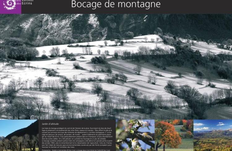 bocage_page-0001