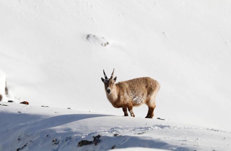 138021e_HD