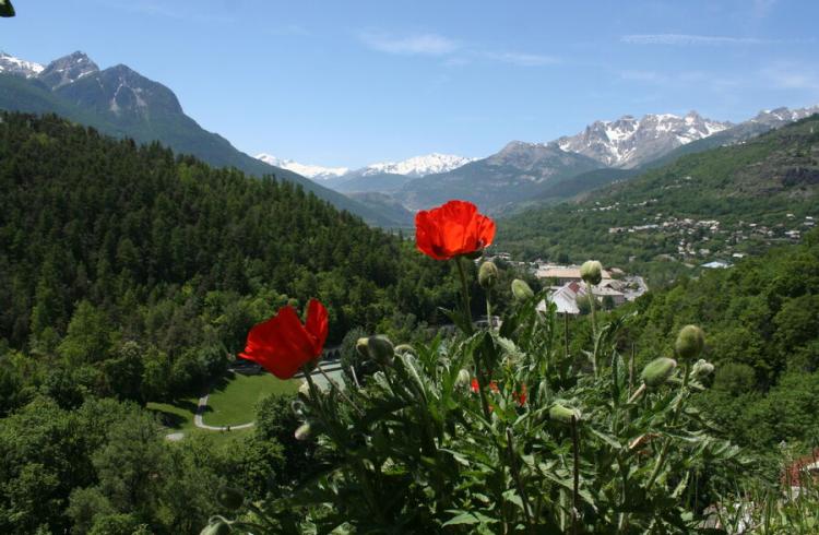 Jardin du Gouverneur