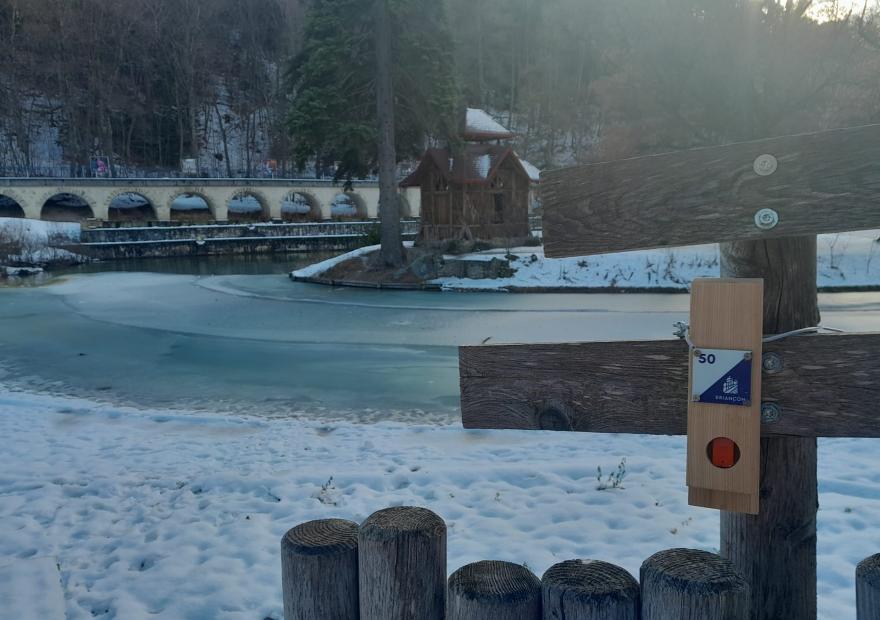 schappe-course-orientation