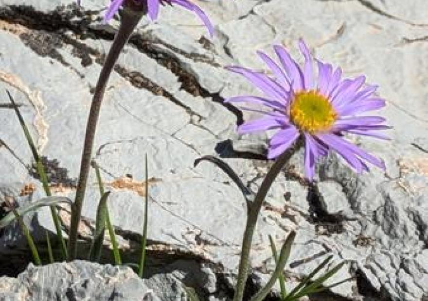 Randonnée pédestre_Briançon