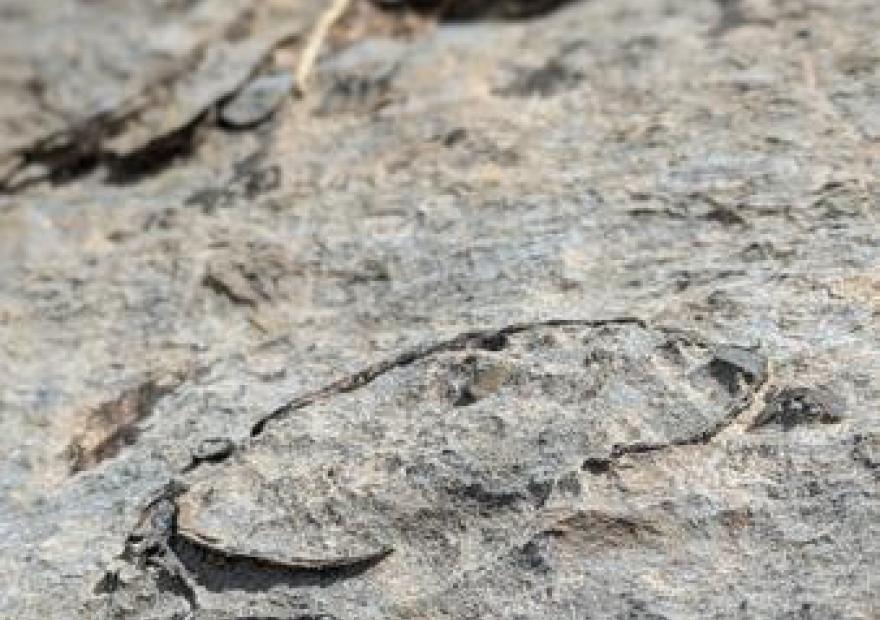 Randonnée pédestre_Briançon