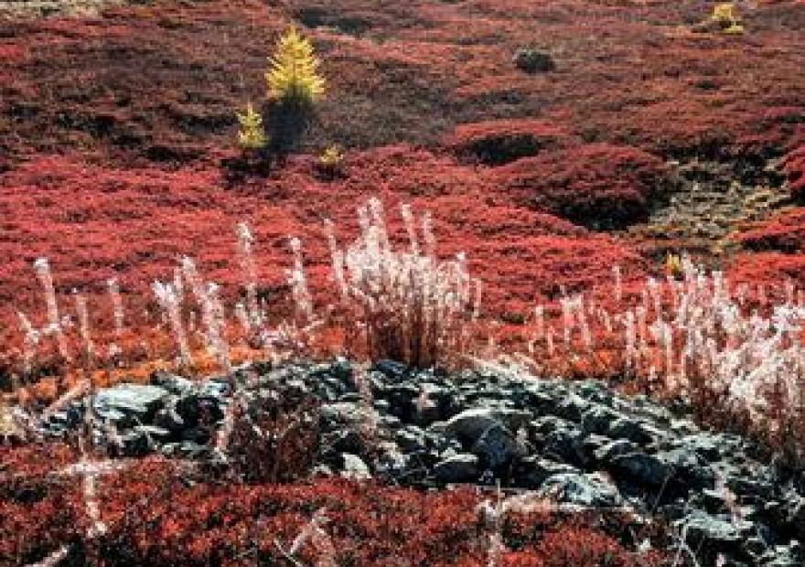 Randonnée pédestre_Briançon